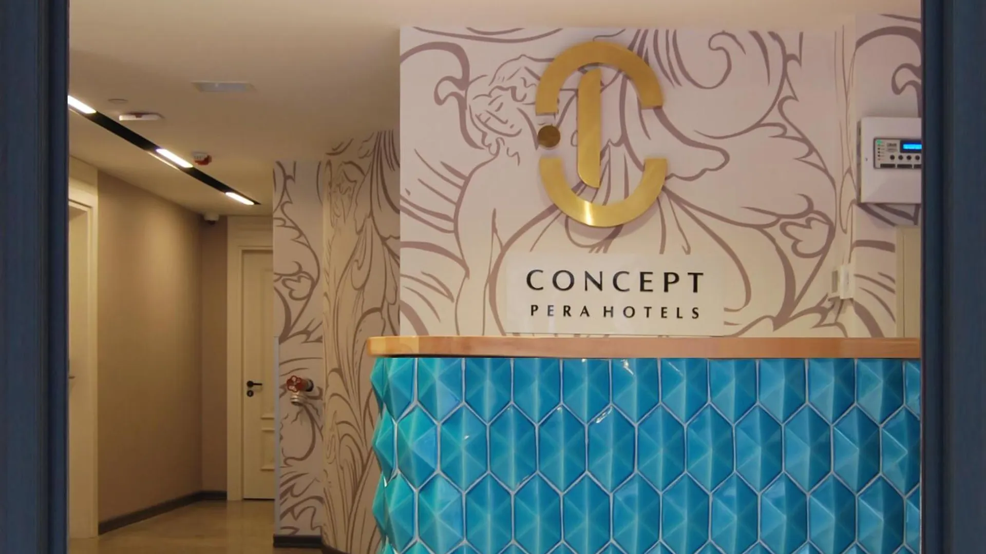 Concept Pera Hotel Stambuł